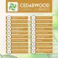 100% Pure Private Label Cedarwood Essential Oil
