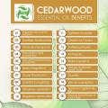 100% тоза кардани равғани эффудаи Cedarwood