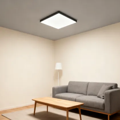 LED Ceiling Panel Light