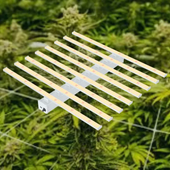 Cheap 1000W Led Grow Lights For Sale