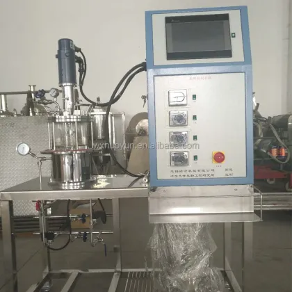 Stainless Steel Fermenter and Bioreactor Prices - Bioreactor for Sale