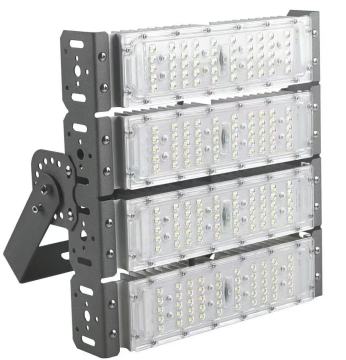 Solar Pathway Lights for Driveway & Garden