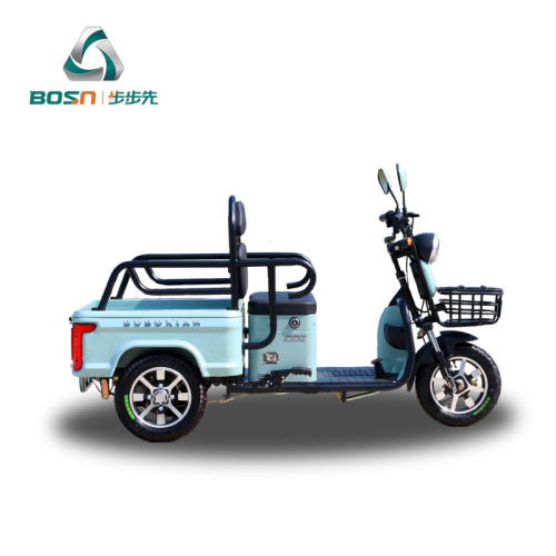 Tricycle électrique de loisirs pour personnes âgées Tricycle passager 650W