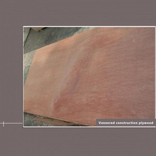 12 mm Packaging Plywood poplar material
