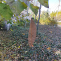 Corten Steel Decorative Lace Leaf Sculpture