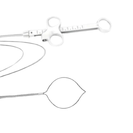 Comprehensive Guide to Various Polypectomy Snares: Competitive Models and Shapes Including Evenly Cut Oval, Semiluna, Hexagon, and Cold Snare Techniques
