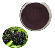 High Quality Organic Elderberry Extract Powder