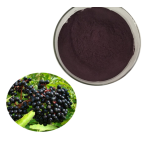 High Quality Organic Elderberry Extract Powder