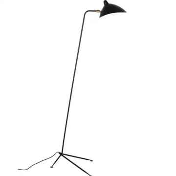 Modern Standing Postmodern Decorative LED Floor Lamp
