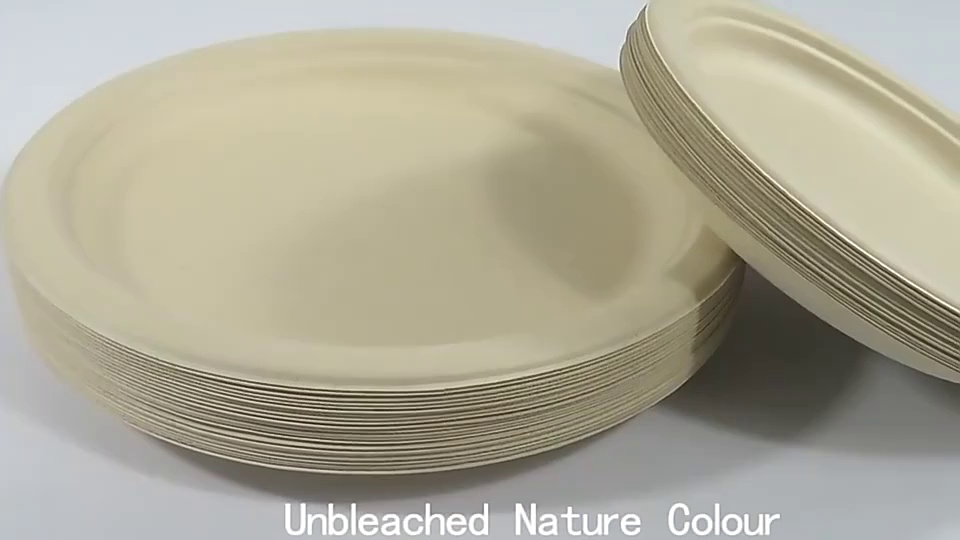 Eco-Friendly Disposable Tableware