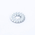 Double toothed lock washer