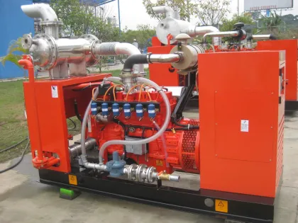 New Energy Waste Management Biogas Generator Power Plant/ Biogas Tank/ Biogas Bag/ Biogas Scrubber/ Biogas Holder/Biogas Bag