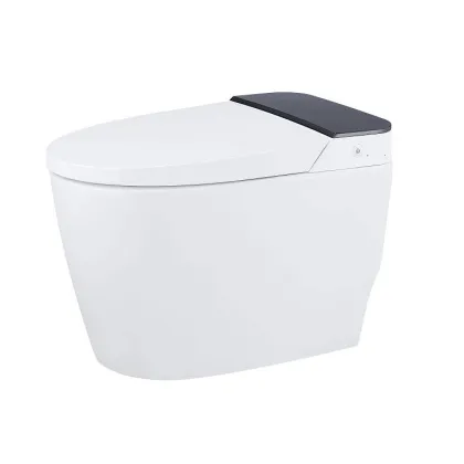 Modern Smart Toilet Bidet Sanitary Ware