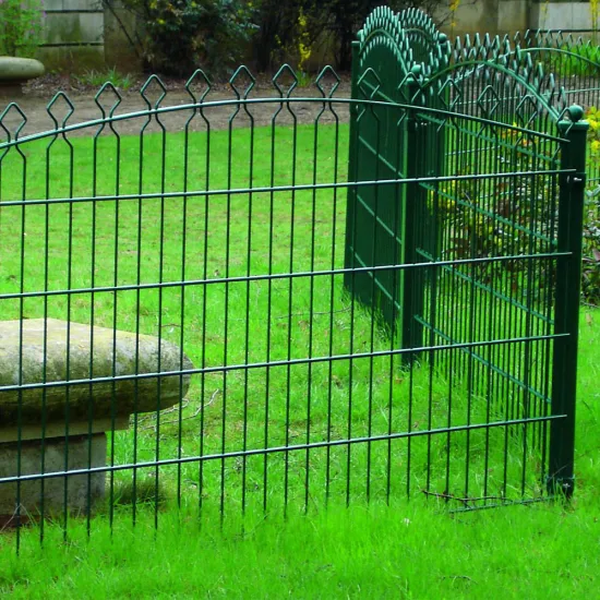 Decorative Double Wire Fence