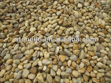 indonesia black pebbles