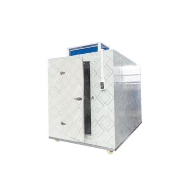 China-Made Large Commercial Mobile Ice House for Sweet Potatoes, Fruits, and Vegetable Cold Storage