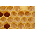 cheap bulk wholesale beeswax