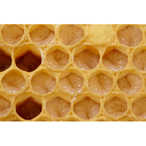 cheap bulk wholesale beeswax