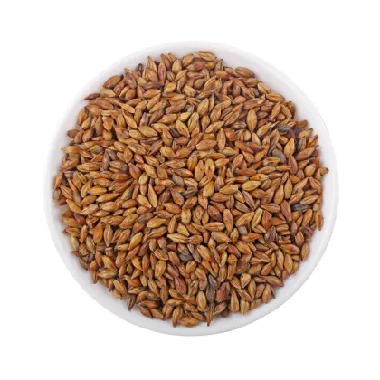Free Sample Loose Bulk Fried Roasted Barley and Buckwheat Tea