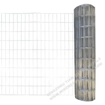 Welded Wire Mesh 25.4mm for Gardening