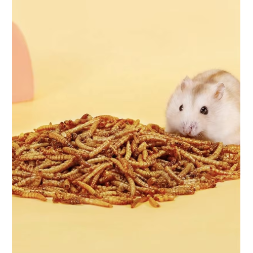 Non Gmo Natural Dried Mealworms Dried Yellow Mealworms Powder For Pet Food Factory