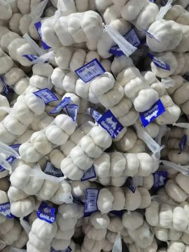 Household Daily Use White Skinned Garlic