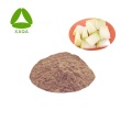 /msite/products/detail/productid/59556148/id/1001309.html