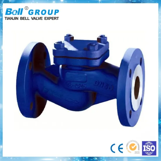 Low pressure drinking water cast iron swing check valve
