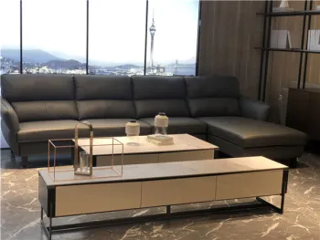 New Design Sofa Of Leather Sofa
