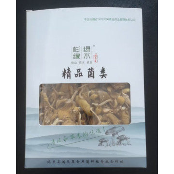 200g de Cogumelo Amarelo Olmo