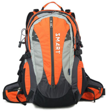 Wholesale Custom Backpack for Traveling (SB6782)