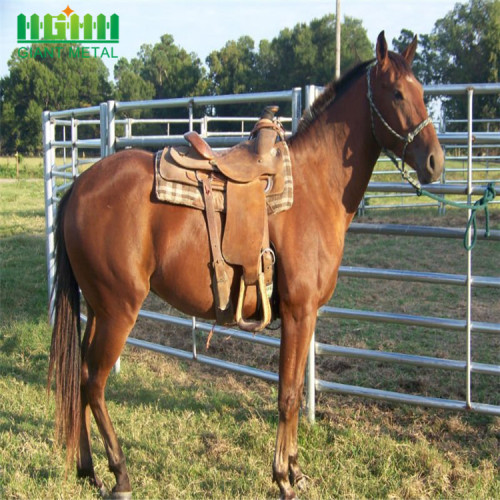 Fábrica galvanizada precio barato caballo cercado venta bien