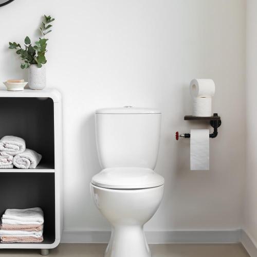 Wandmontierte Rohrtoilettengewebe -Rollhalter