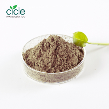 Biological Insecticide Metarhizium Anisopliae Powder