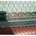 PVC Coated Wire Netting PVC Coated Hexagonal Wire Netting Manufactory