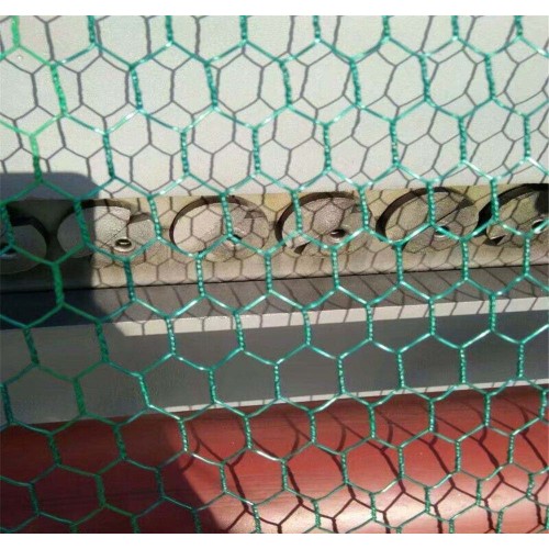 Hexagonal Wire Netting- Pvc Coated Wire PVC Coated Hexagonal Wire Netting Manufactory