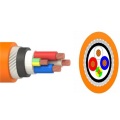 XLPE SWA 2C + E &amp; 3C + E 0.6 / 1.0KV Câble circulaire