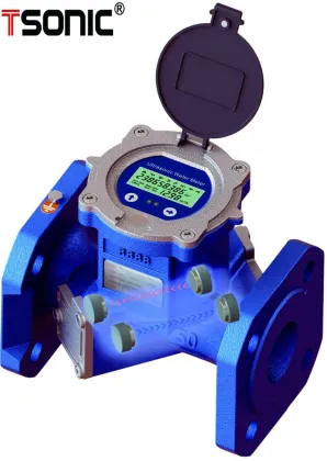 Ultrasonic digital water flow measurement