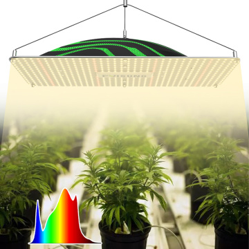 Luzes de cultivo LED para plantas internas