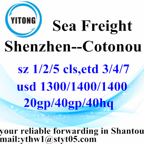Frete internacional do oceano de Shenzhen a Cotonou