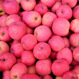 Нинся Свежие Красные Вкусные Яблоки Ссыпают Низкой Цене