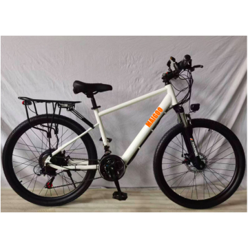 26'' Steel Electronic Assistant Bike with Lithium Battery