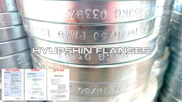 DIN 2642 PN10 Lapped Flange Loose Flange