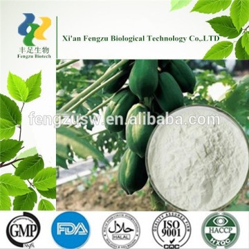 Hot selling papaya leaf extract powder,Dried Papaya powder,Yellow Papaya Fine powder