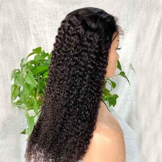 fertilizer double drawn 100% 10a grade lace front vendor 12a virgin unprocessed hair wig