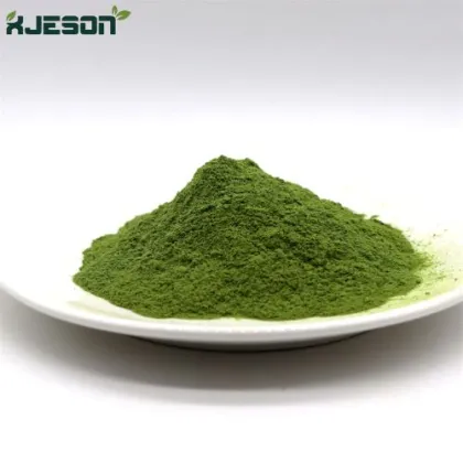 lose weight cassia angustifolia seed extract powder