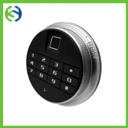 Integrated Biometric Safe Lock System