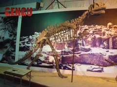 2012 Dinosaur Fossil Replicas