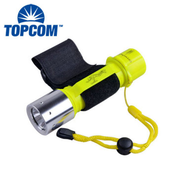 2017 Professional Waterproof ABS LED Diving Flashlight: A Powerful 800 Lumen Q5 Diving Torch Lantern for Underwater Use