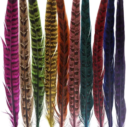 Natural Ring Neck Hen Pheasant Tail Feathers for Fly Tying Nymphs and Wet Fly Wings
